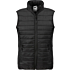 Let vest, herre